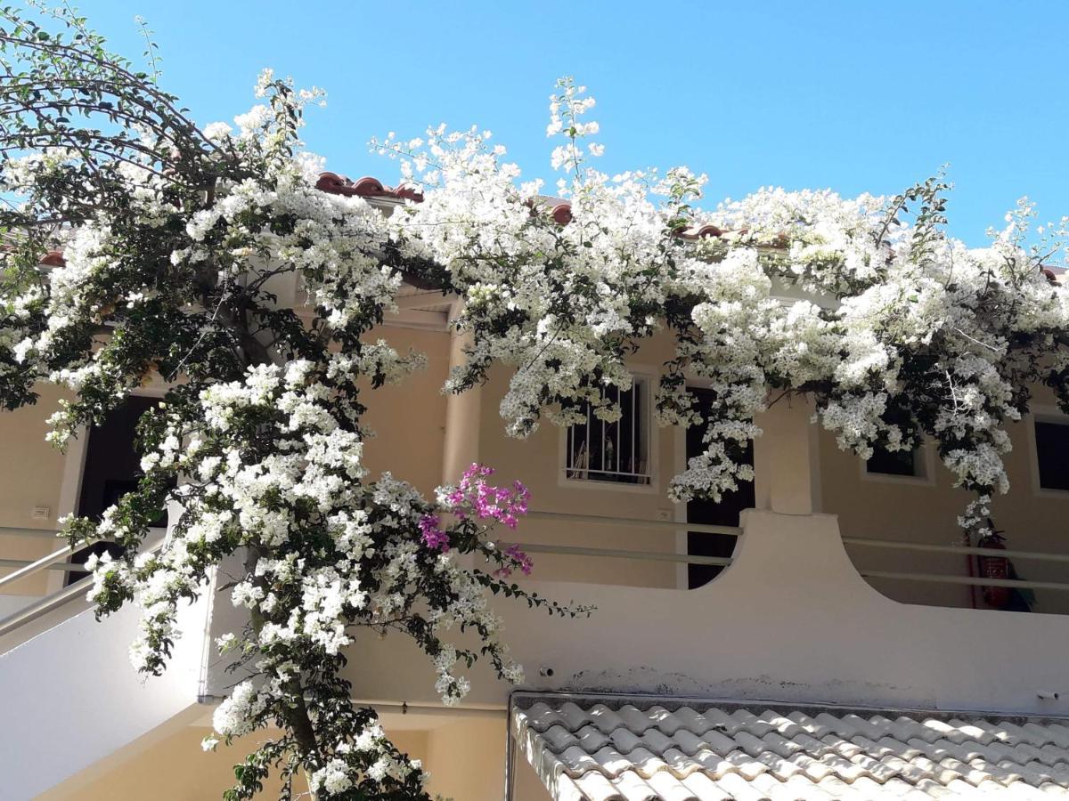 Makis Apartments Arillas Agiou Georgiou Esterno foto
